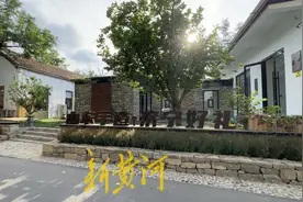 “尼”与AI共迎未来 | 看“山东手造”，感受乡村变化，外国网红大呼“过瘾”图片