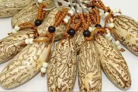 浅谈千眼菩提（文玩-种子类）图片