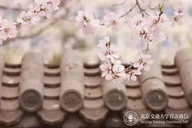 交大春日OOTD！美不胜收！图片