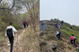 姚晨一家三口爬山翻越10公里！儿子路边拔野菜，坐地上吃饭不嫌脏图片