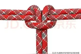 会这几个绳结就够了图片
