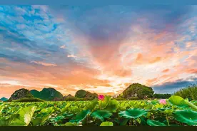 2022西安城六区普高线公布，较去年上涨27分！附一分一段表图片