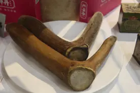 最高30%！安宫牛黄丸等21个中药大品种涨价图片