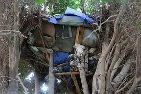 2014年福建男孩住“树屋”，只有晚上才敢出门，不知麦当劳是何物图片