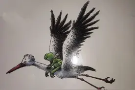 青蛙王子历险记图片