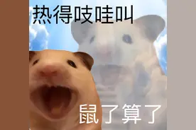 热死了表情包 好热好热图片