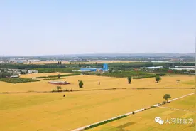 河南小麦育种简史图片