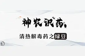 《神农识药》清热解毒药之绿豆图片