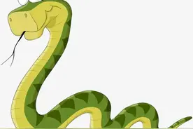 老一辈的说：“蛇到家里，不能打，是亲人，有科学依据吗”图片