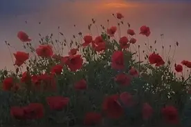 对视的瞬间真的不藏爱意吗？/文案图片