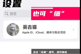 关注iPhone的“设置”细节，提升用机体验（第四期）图片