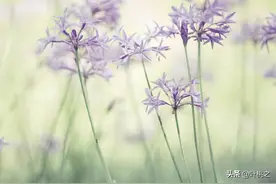 人到中年，没有朋友，不愿社交图片