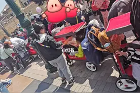 北京故宫和上海迪士尼今日双双发布新规！这类车都禁止进入图片