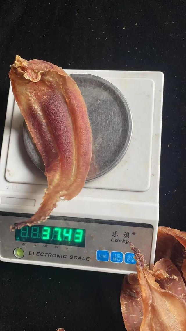 小血鳘鱼胶的功效 2025年血鳘鱼胶介绍