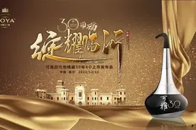 三十而砺，绽耀临沂图片