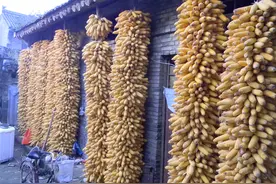 奶奶的故事图片