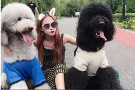 劝告：这几种狗不要随便带回家，每一只都“很难养”图片