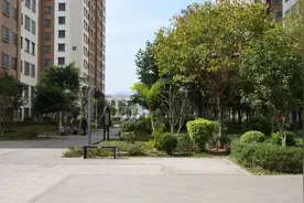 选房成功！蒙自493户家庭圆了安居梦图片