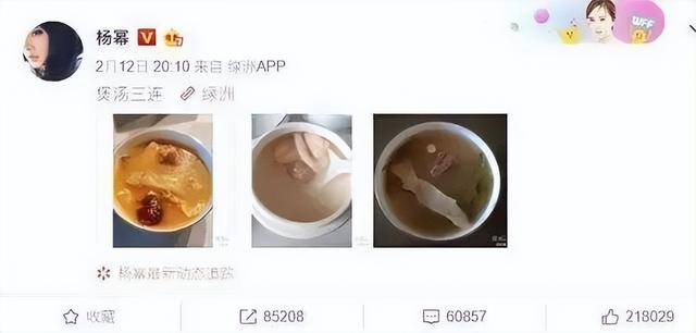 用养生壶炖花胶鸡汤 2026年用养生壶炖花胶鸡汤怎么做
