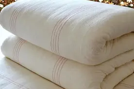 被子选择有学问，你知道冬天什么被子保暖性最好吗?图片