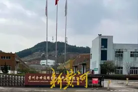 凯里“商祸”：融资租赁项目里的政商纠葛图片