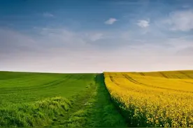 爆款创意文案|40句非常有道理的人生箴言图片