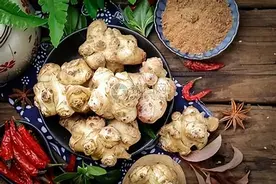 洋姜有哪些功效？我国每年大量种植，美国却耗费上亿资金阻止生长图片