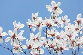 关于孩子的政审，你知道多少图片