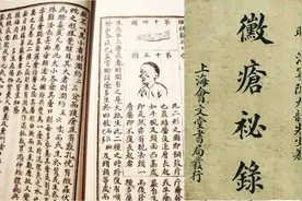 梅毒的故事图片