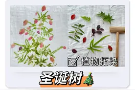 植物拓染简单又治愈：带娃敲敲敲，捶出一颗圣诞树图片