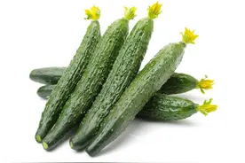 黄瓜大量上市，挑选黄瓜有什么讲究？看5点选出最好吃的黄瓜图片