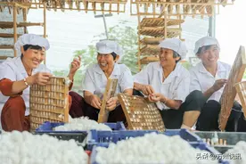 四川省南充市9个区县人口数据，人口流失令人深感恐怖图片