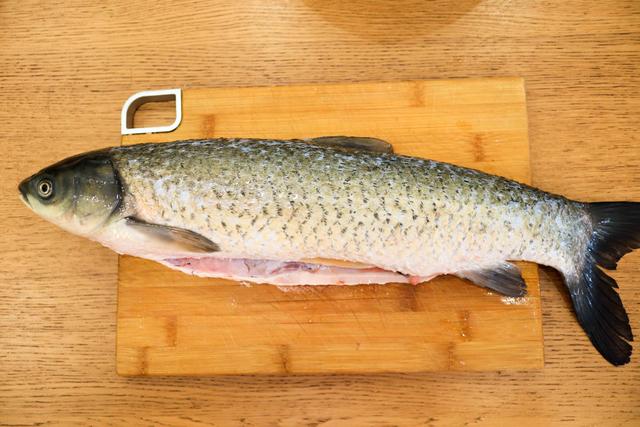 花胶煲鱼尾汤 2025年花胶煲鱼尾汤的功效