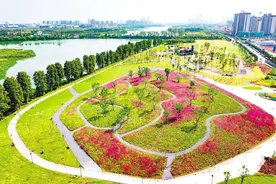 儿子从自闭症谱系到摘帽，总结这几年来我的干预方法图片