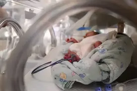 概率六千万分之一！山东24岁产妇生下5胞胎，让人感到惊讶图片