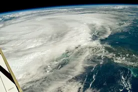 日本多地现巨型幺蛾子，核废水见效？气象厅：和全球气候异常有关图片