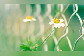 判断一个女人是否干净，看她身上的这三个地方就够了图片