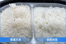 自热米饭用的竟是「假大米」？常吃这种大米，对身体有啥危害？图片
