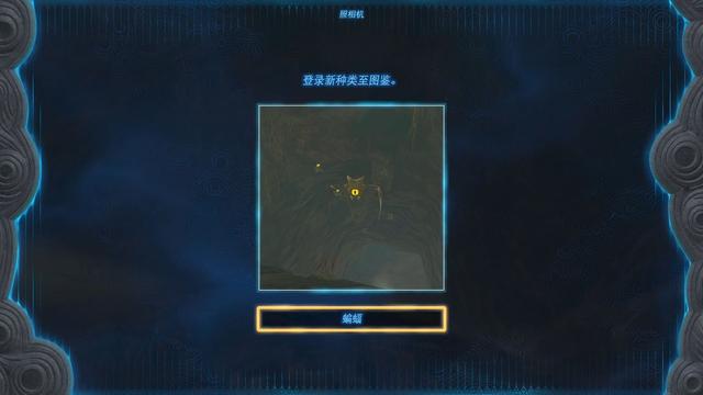 《王国之泪》「指南」地图不会告诉你的“宝藏地点”