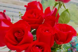 一花一深爱，春暖花开爱钟情，鸟语花香情如画，赏心悦目醉人心图片