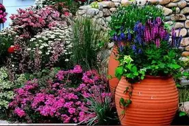 直播间冲动消费七七八八图片