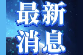 省级示范幼儿园！罗庄4所！图片