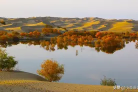 额济纳胡杨林几月去最美？有哪些旅游攻略？这一篇文章告诉你图片