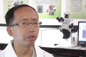 今夏蚊子变少了？北京市疾控中心回应图片