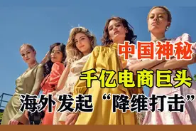 打败阿里和亚马逊，估值过1000亿，中国神秘电商海外疯狂吸金图片