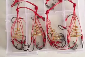 新增四种钓具禁止使用，使用这4种钓具钓鱼，涉嫌刑事违法图片