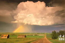 人到中年，请多走半步图片