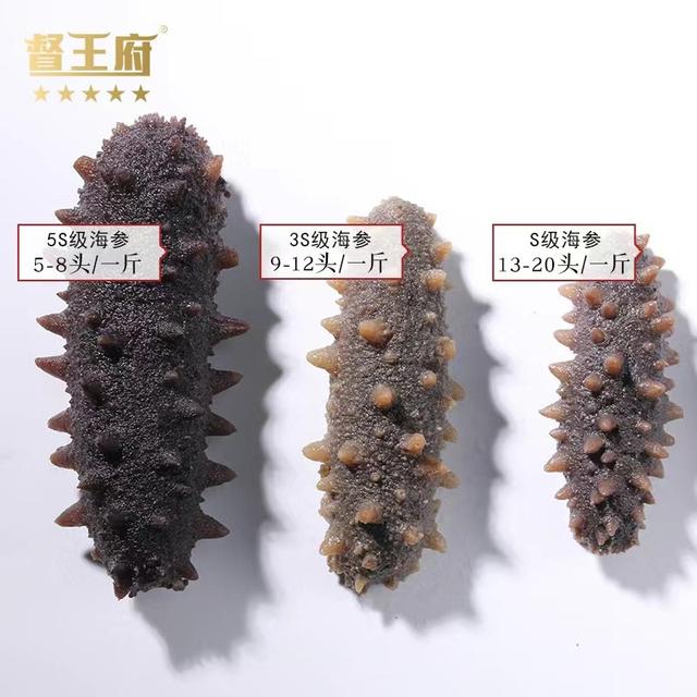 海参的烹饪方法 2026年海参的烹饪方法有哪些?