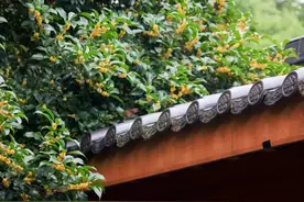 诗人笔下的暮年，是否也是你的生活？图片