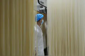 奔腾之路·映象丨金沙河面业勇做中哈边境贸易的弄潮儿图片